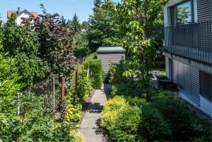Beerengarten mit wechselndem Grün