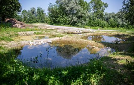 Naturschutzgebiet Espel, Gossau