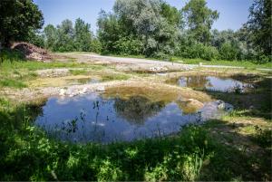 Naturschutzgebiet, Amphibiengewässer