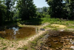 Naturschutzgebiet, Amphibiengewässer