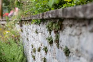 Privatgarten, Umgebungsgestaltung Erweiterungsbau