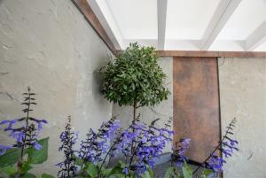 Privatgarten, gedeckter Gartensitzplatz