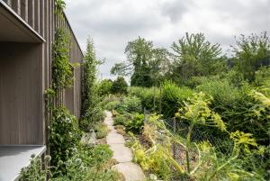 Privatgarten, Umgebungsgestaltung