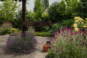 Privatgarten, Umgebungsgestaltung