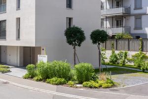 Wohnüberbauung, gesamte Umgebungsgestaltung