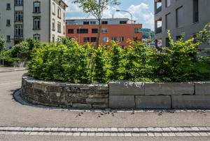 Wohnüberbauung, gesamte Umgebungsgestaltung